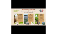 Engagement écologique et santé pour votre canapé naturel