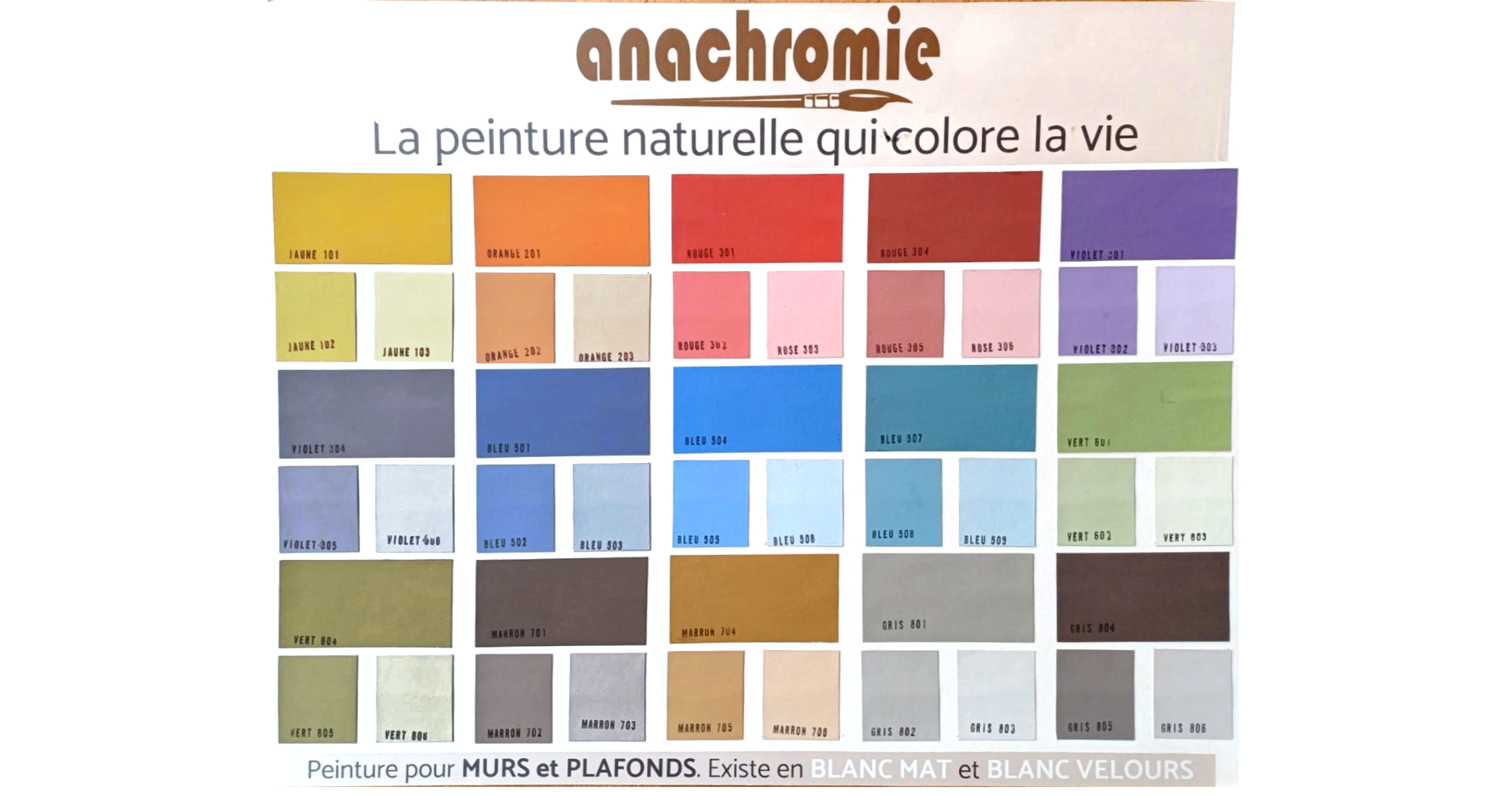 Nuancier peinture naturelle Velours